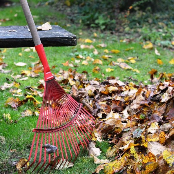 Tuin bladeren harken door de Scouts!